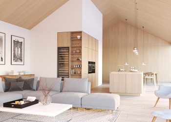 3d rendering. loft apartment with living room and kitchen.